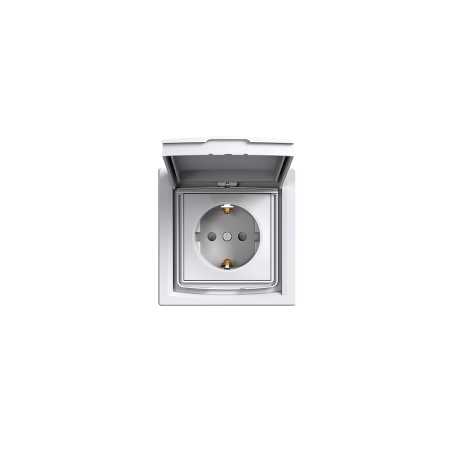 Розетка с крышкой IP44 Shneider-Electric Asfora белый EPH3100321