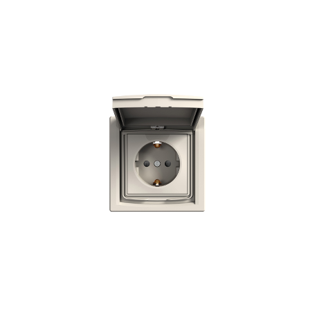 Розетка с крышкой IP44 Shneider-Electric Asfora крем EPH3100323