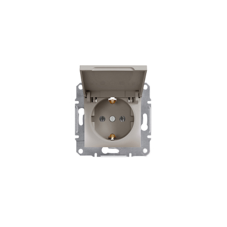 Розетка с крышкой Shneider-Electric Asfora бронза EPH3100169