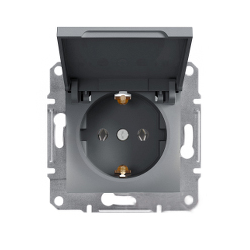 Розетка с крышкой Shneider-Electric Asfora сталь EPH3100162
