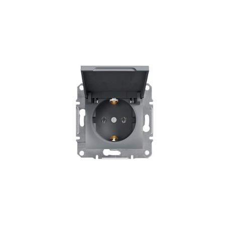 Розетка с крышкой Shneider-Electric Asfora сталь EPH3100162