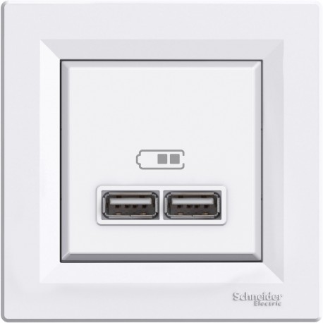 Розетка USB Shneider-Electric Asfora, белый EPH2700221