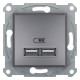 Розетка USB Shneider-Electric Asfora, сталь EPH2700262