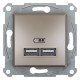 Розетка USB Shneider-Electric Asfora, бронза EPH2700269