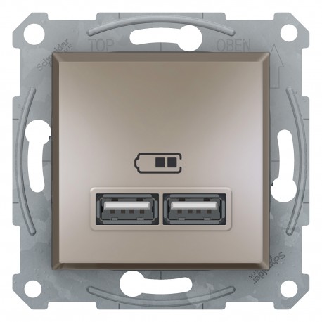 Розетка USB Shneider-Electric Asfora, бронза EPH2700269