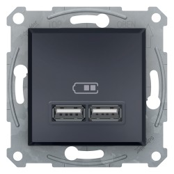 Розетка USB Shneider-Electric Asfora, антрацит EPH2700271
