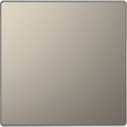 Заглушка Shneider-Electric D-life (никель) MTN4075-6050