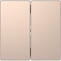 Накладка выключателя 2-кл. Schneider-Electric D-life (шампань) MTN3400-6051
