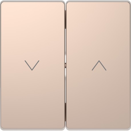 Накладка выключателя жалюзи Schneider-Electric D-life (шампань) MTN3855-6051