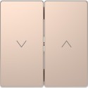 Накладка выключателя жалюзи Schneider-Electric D-life (шампань) MTN3855-6051