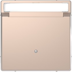 Накладка выключателя карточного Schneider-Electric D-life (шампань) MTN3854-6051