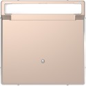 Накладка выключателя карточного Schneider-Electric D-life (шампань) MTN3854-6051