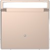 Накладка выключателя карточного Schneider-Electric D-life (шампань) MTN3854-6051