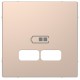 Накладка USB Schneider-Electric D-life (шампань) MTN4367-6051