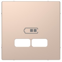 Накладка USB Schneider-Electric D-life (шампань) MTN4367-6051
