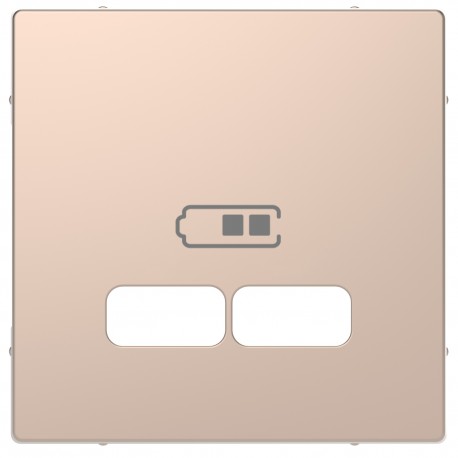 Накладка USB Schneider-Electric D-life (шампань) MTN4367-6051