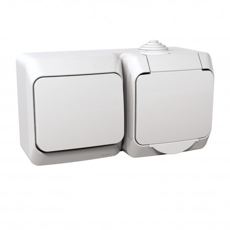 Розетка с заземлением и выключатель 1-кл. IP44 Schneider-Electric Cedar Plus (16А, с з/к, белый) WDE000500